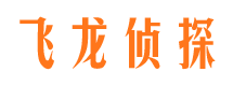 盘龙市调查公司